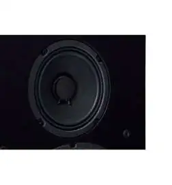 Wersi TS9000 Active loudspeaker