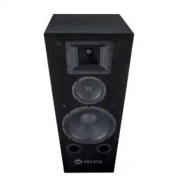Wersi TS9000 Active loudspeaker