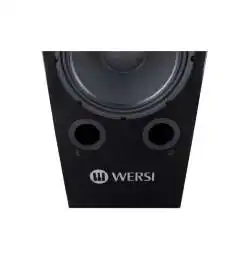 Wersi TS9000 Active loudspeaker
