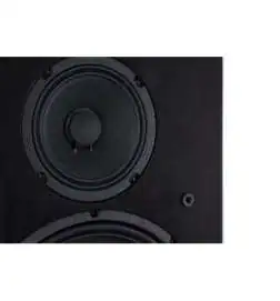 Wersi TS9000 Active loudspeaker