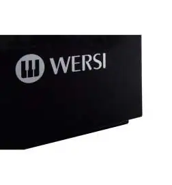 Wersi TS9000 Active loudspeaker