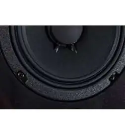 Wersi TS9000 Active loudspeaker