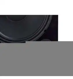 Wersi TS9000 Active loudspeaker