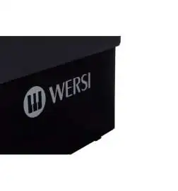 Wersi TS9000 Active loudspeaker