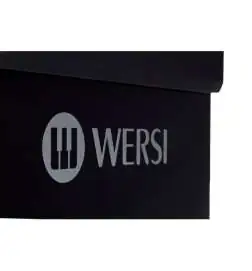 Wersi TS9000 Active loudspeaker