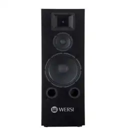 Wersi TS9000 Active loudspeaker
