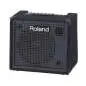 Roland KC-200 Keyboard Amp Roland KC-200 Keyboard Amp