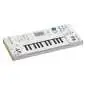 KIVIAK INSTRUMENTS WoFi Sampler