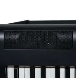 keymaXX SDP-100