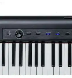 keymaXX SDP-100
