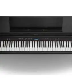 Roland HP704 CH