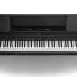 Roland HP704 CH