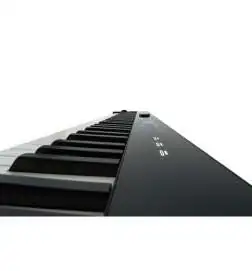 Casio PX-S7000 BK