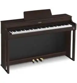 Casio AP-300 BN