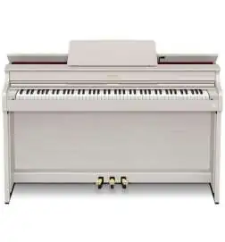 Casio AP-300 GB