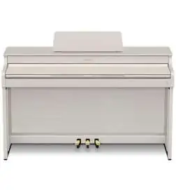 Casio AP-300 GB