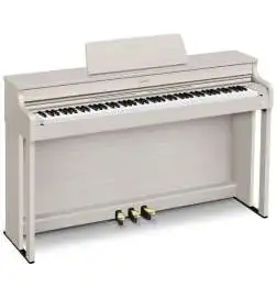 Casio AP-300 GB
