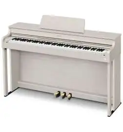 Casio AP-300 GB