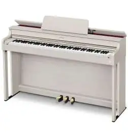 Casio AP-300 GB
