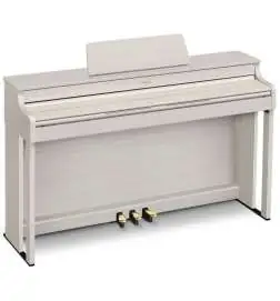 Casio AP-300 GB