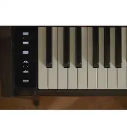 Casio AP-S450 BK Celviano