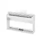Casio AP-S450 WE Celviano