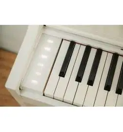 Casio AP-S450 WE Celviano