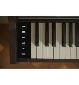 Casio AP-S450 BN Celviano