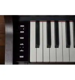 Casio AP-550 BN Celviano