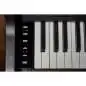 Casio AP-550 BN Celviano