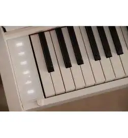 Casio AP-550 WE Celviano