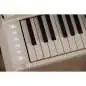 Casio AP-550 WE Celviano