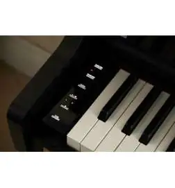 Casio AP-750 BK Celviano