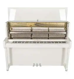 Schimmel C 116 Trad. white polilshed 166cm