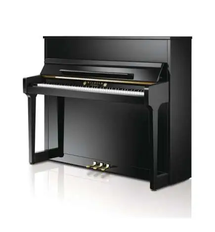 Schimmel Wilhelm W 118 Tradition PE Piano