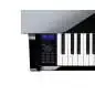 Casio GP-510