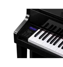 Casio GP-510