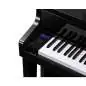 Casio GP-510