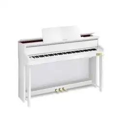 Casio GP-310 WE