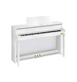 Casio GP-310 WE