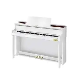 Casio GP-310 WE