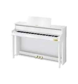 Casio GP-310 WE
