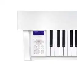 Casio GP-310 WE