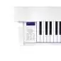 Casio GP-310 WE