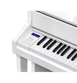 Casio GP-310 WE