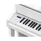 Casio GP-310 WE