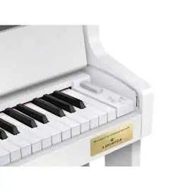 Casio GP-310 WE