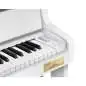 Casio GP-310 WE
