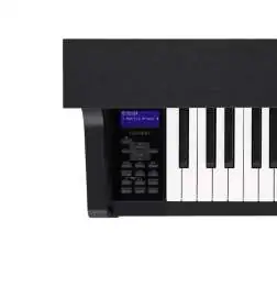 Casio GP-310 BK