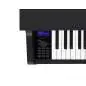 Casio GP-310 BK